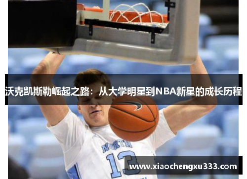 沃克凯斯勒崛起之路：从大学明星到NBA新星的成长历程