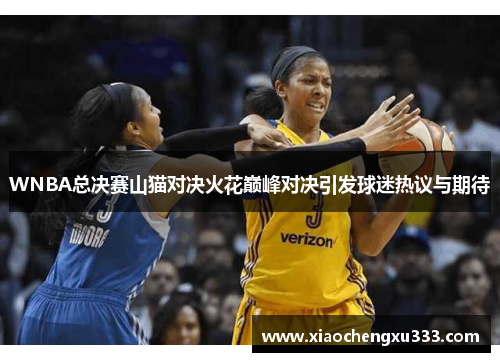 WNBA总决赛山猫对决火花巅峰对决引发球迷热议与期待