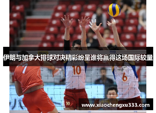 伊朗与加拿大排球对决精彩纷呈谁将赢得这场国际较量